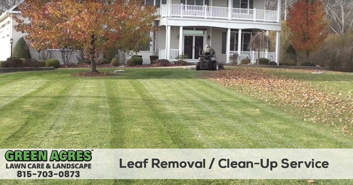 Leaf Removal Service in Overland Park | LDK Lawn Service